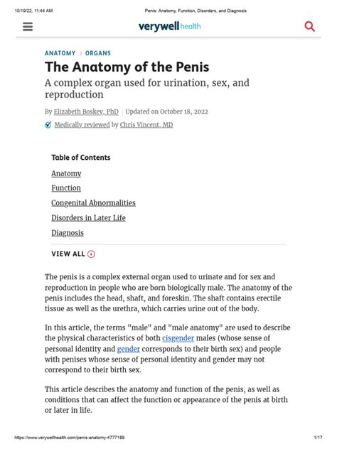 pictures of penisis|Penis: Anatomy, Function, Disorders, and Diagnosis.